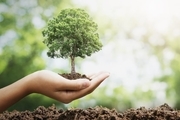 کاشت درخت بر کاهش مرگ و میر تاثیر دارد؟