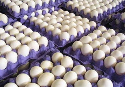21 هزار تن تخم مرغ از کاشان به استان های همجوار ارسال شد