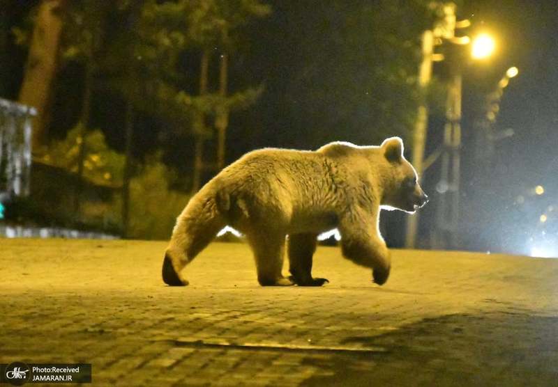 منتخب تصاویر امروز جهان- 23 تیر