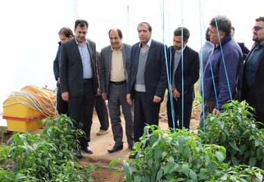 ۱۲۶ هزار تن محصول کشاورزی در آران‌وبیدگل تولید شد