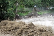 سیلاب ۴۵ میلیارد ریال به بخش کشاورزی نوشهر خسارت زد