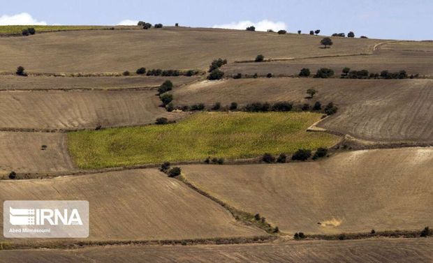 مجوز احداث صنایع در اراضی یکپارچه کشاورزی قزوین صادر نمی‌شود