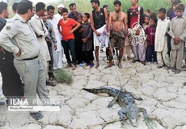 مشکل بی‌آبی عامل بروز حادثه برای دختر 10 ساله سیستانی  "حوا" اولین قربانی نبود  محافظی برای گاندوها وجود ندارد