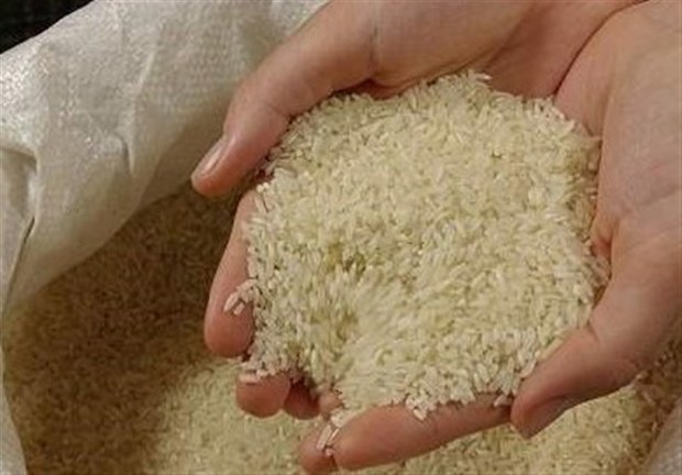 برنج وارداتی با ارز دولتی در بازار توزیع می شود