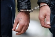 دستگیری سارقان منزل با ۴۵ فقره سرقت در البرز