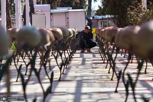 آخرین پنجشنبه سال در بهشت زهرا (س) تهران