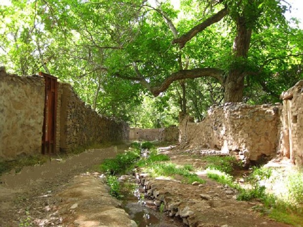 5 باغ  قدیمی در ری به بوستان عمومی تبدیل می شود