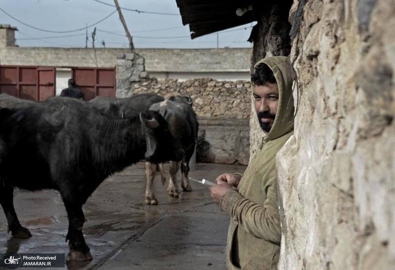 منتخب تصاویر امروز جهان - 20 بهمن 1401