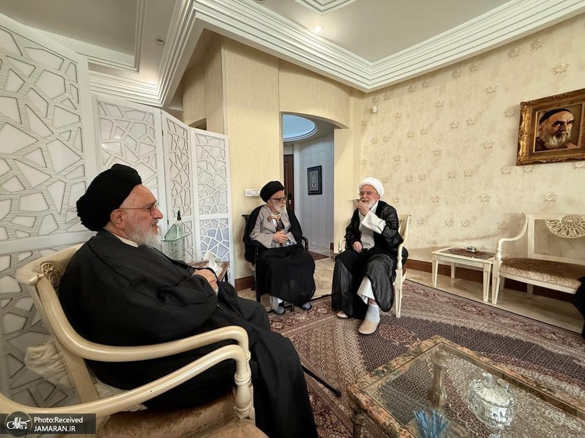 دیدار آیت‌الله سید‌ علی محقق داماد و آیت‌الله سید مصطفی محقق داماد با حجت الاسلام و المسلمین کروبی + گزارش تصویری