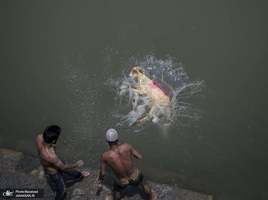 منتخب تصاویر امروز جهان- 21 تیر 1400