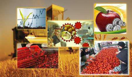 راه اندازی پنج واحد فرآوری محصولات کشاورزی دراستان سمنان توسط بخش خصوصی