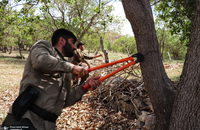 گشت با جنگل بانان برای مبارزه با قاچاق چوب و زغال