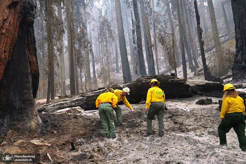 منتخب تصاویر امروز جهان- 10 مهر 1400