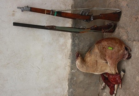 چهار شکارچی متخلف در شهرستان قزوین دستگیر شدند