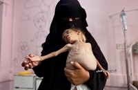 شام قدیح، کودک دو ساله فلسطینی (1)