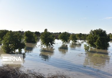 تلخی سیل به کام زمین خشکیده سیستان و بلوچستان