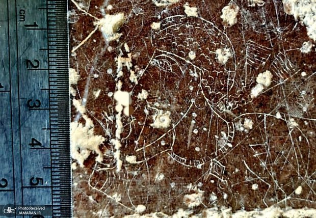 کشف سنگ‌نگاره «بزرگ‌زاده ساسانی» در مرودشت + عکس