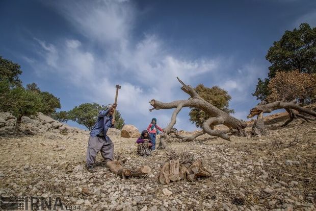یگان حفاظت منابع طبیعی خراسان شمالی نیرو کم دارد