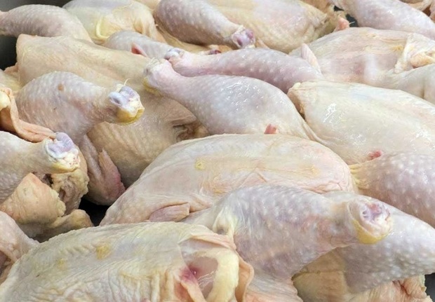 روزانه 2 تن گوشت گرم مرغ در بجنورد توزیع می شود