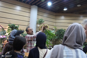 نمایشگاه گل و گیاه (94)