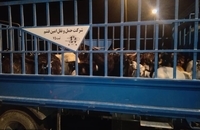 توقیف بزرگترین محموله قاچاق دام زنده به کشورهای حوزه خلیج فارس (3)