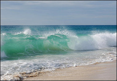 سواحل جنوبی خلیج فارس در استان بوشهر مواج می‌شود