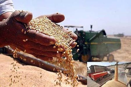 ضریب نوسازی ادوات کشاورزی در استان سمنان 2.5 درصد است
