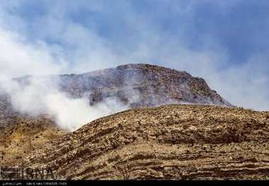 آماده مقابله با آتش سوزی در اراضی ملی استان فارس هستیم