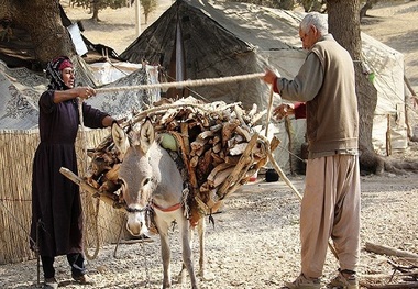 بی سوادی از مهمترین معضلات جامعه روستایی و عشایری آذربایجان غربی است