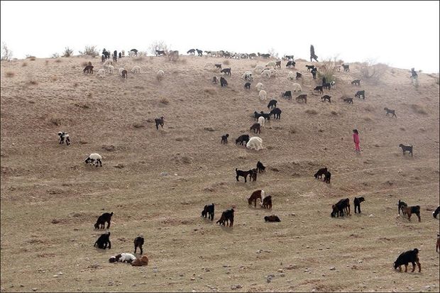 خشکسالی، تهدیدی جدی برای استان اردبیل