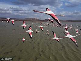 منتخب تصاویر امروز جهان- 17 فروردین 1400