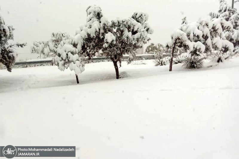 بارش برف پاییزی در برخی نقاط تهران - 25 آبان