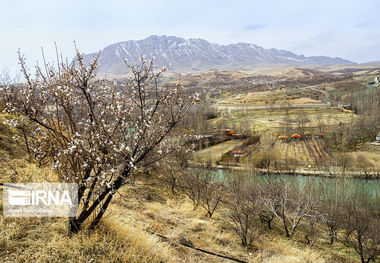 سرمازدگی ۱۴ میلیارد ریال به باغات اردل خسارت زد