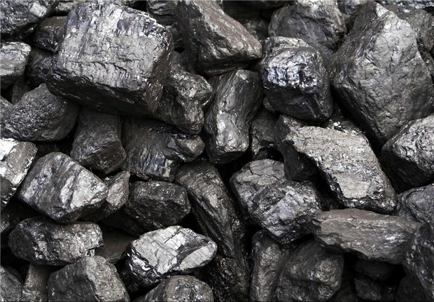 21 کیسه زغال بلوط در سلسله کشف شد