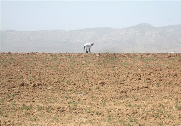 استان بوشهر در 40 سال اخیر 12 سال خشکسالی داشته است