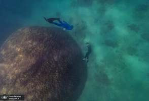 منتخب تصاویر امروز جهان- 29 مرداد 1400