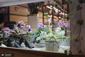 نمایشگاه گل و گیاه (39)