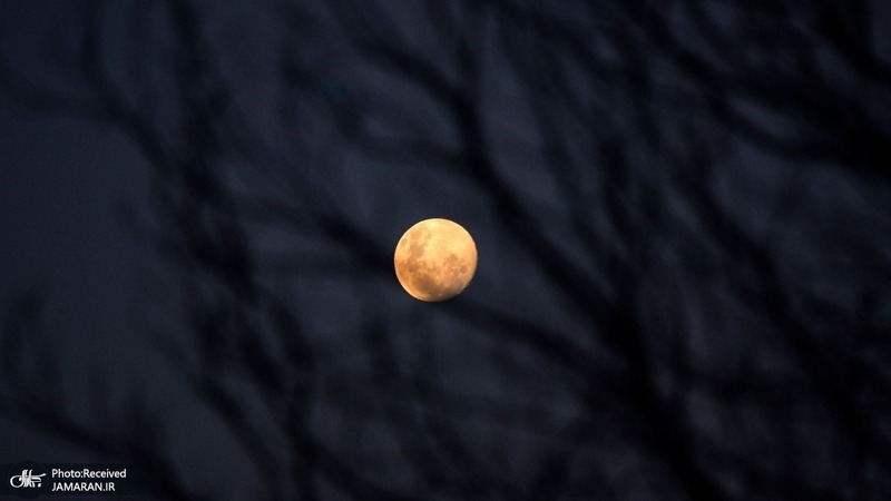 منتخب تصاویر امروز جهان- 4 خرداد 1400