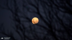 منتخب تصاویر امروز جهان- 4 خرداد 1400