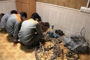 80 کیلوگرم کابل سرقتی در شهرستان البرز کشف شد