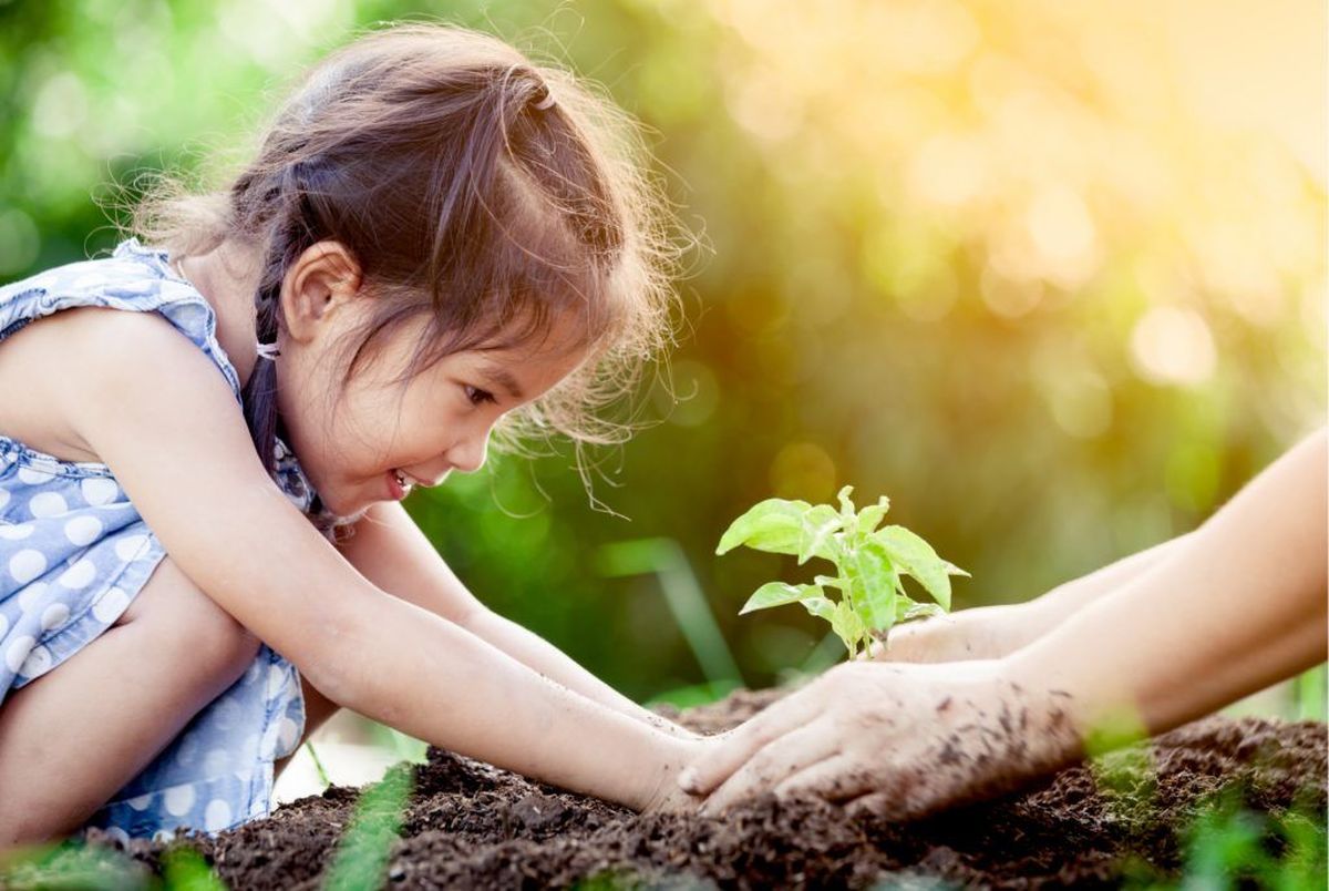 روش هایی برای آموزش دوستی با طبیعت به کودکان