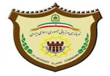 کشف  یکهزار 669 قطعه سکه قدیمی مرز دوغارون تایباد