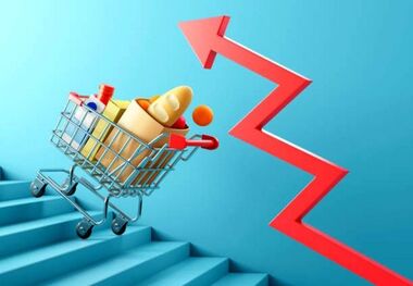 نرخ تورم اسفند 1401/ بانک مرکزی گرانی کالاها را تایید کرد