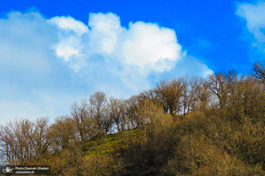 روستای سفیدآب پاوه