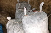 گشت با جنگل بانان برای مبارزه با قاچاق چوب و زغال