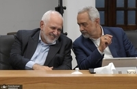 دیدار جمعی از وزیران و معاونان سابق رئیس‌جمهور با حسن روحانی (31)