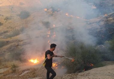 آتش سوزی در منطقه جریک مسجدسلیمان مهار شد