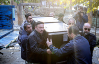 شیرهای سفید (13)