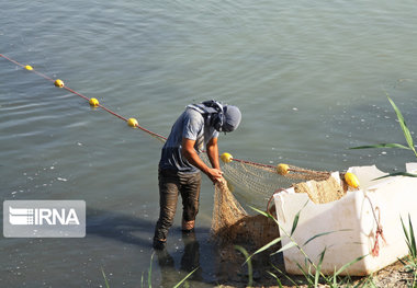 استفاده از سواحل زرینه‌رود میاندوآب برای صیادان بومی آزاد شد