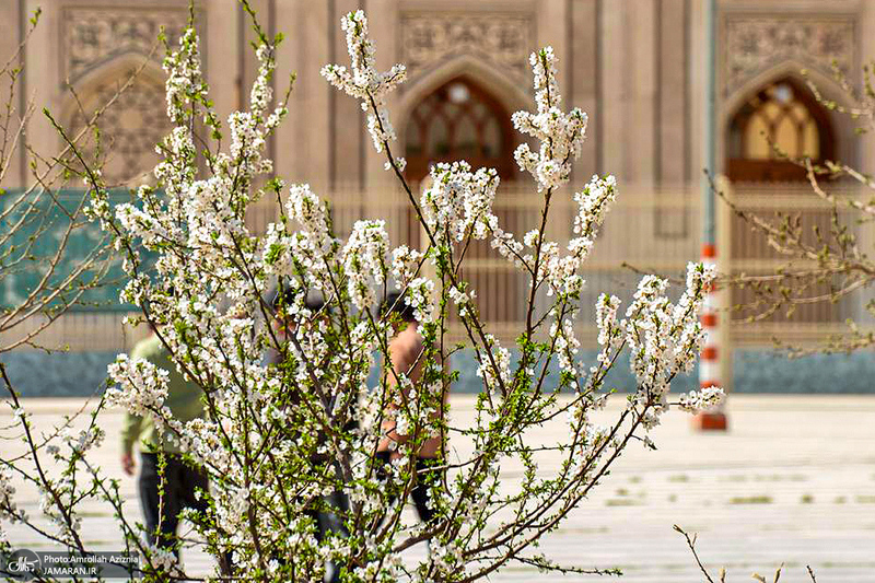 حال و هوای بهاری در حرم مطهر امام خمینی (س)